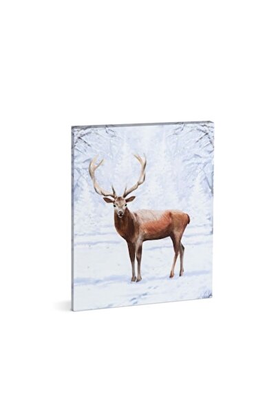 FAMİLY Tablou de Craciun LED - model 9 30x40cm