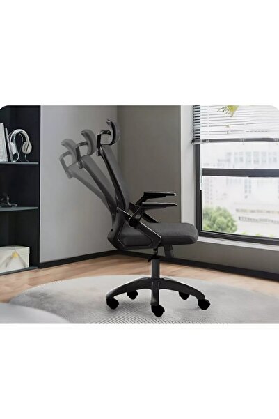 ROHS Scaun ergonomic reglabil pentru birou sau gaming, negru, cu tetieră reglabilă 2D