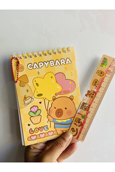 synshop Capybara Sticker Decal 24 Sheets 300Pcs Waterproof+Opaque 10 Sheets Ruler Keychain Notepad