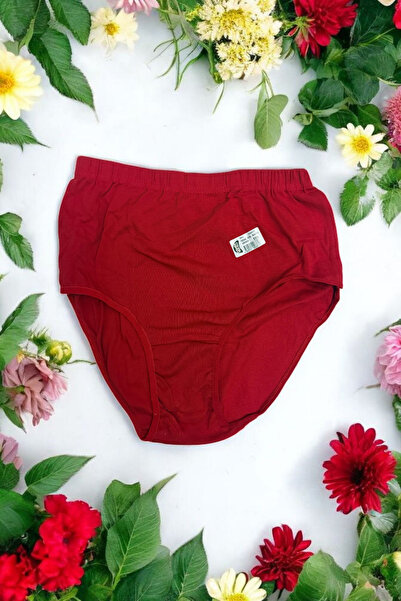 GÜMÜŞ Kadın Ribana Kumaş Battal beden Kilot 2'li