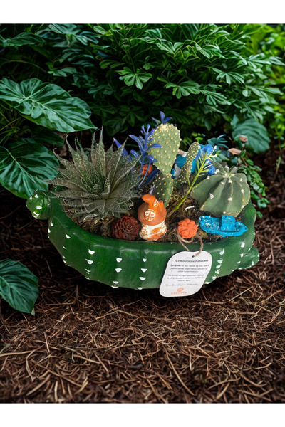 HARTOPİA El Yapımı Dekoratif Sukulent & Kaktüs Aranjmanı – Alçı Taş Tozu Saksı
