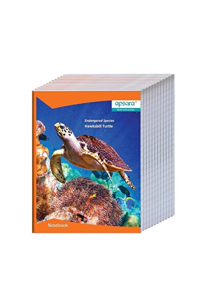 aspara Apsara NB 24x18 BigSq 120P