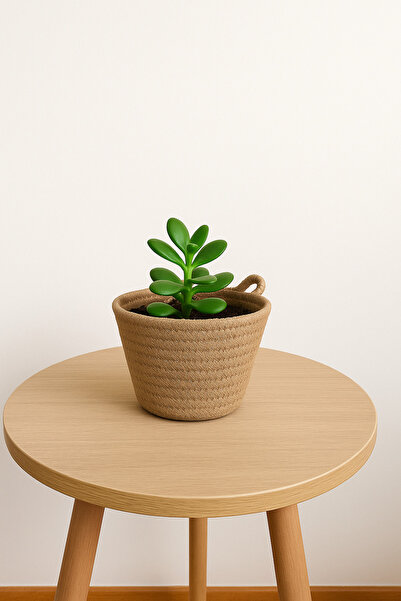 ÖRGÜM منظم صغير على شكل سلة، حافظة صغيرة للنباتات، منظم متعدد الأغراض، مقاس 1...