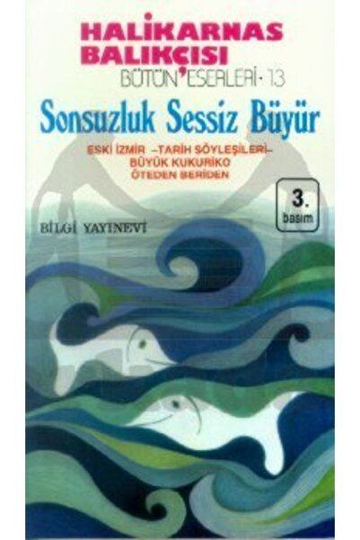 Bilgi Yayınevi Sonsuzluk Sessiz Büyür