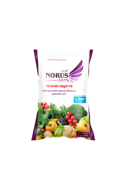 ASTRACHEM Norse Leaf 10-10-40