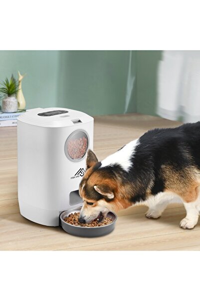 Fish & Paws Automatic feeder for dogs and cats with voice recording, ®