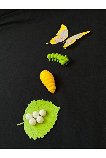 ZYRO KİDS KELEBEĞİN YAŞAM DÖNGÜSÜ MONTESSORİ EĞİTİM SETİ