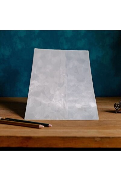 Vision XXI Copertă pentru caiet student (caiet A4), 433x303mm (216x303mm), Vi...