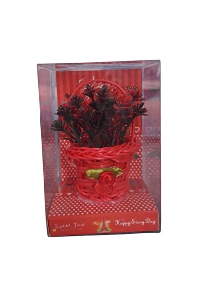 Vision XXI Buchet de flori ornamentale în coș roșu,