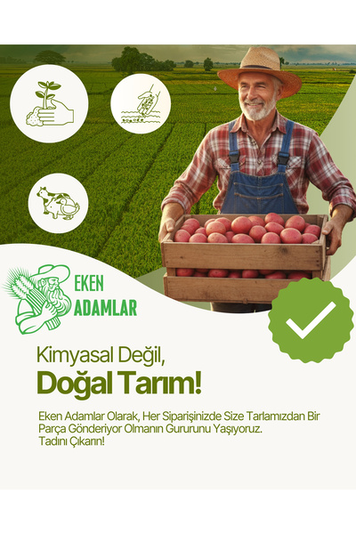 EKEN ADAMLAR Doğal Kırmızı Patates 2 Kg Kızartmalık