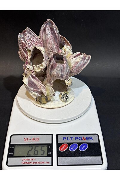 gemsartdeco Lale Mercan Özel Stantlı