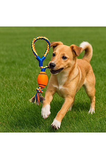 GOLD BE Dayanıklı Halatlı Top Köpek Oyuncağı – Çiğneme ve Getir-Götür Oyunları İçin
