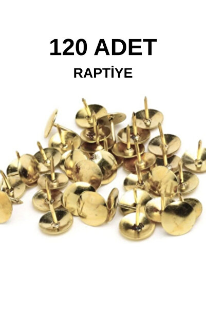 Nuasya 120 Adet Metal Raptiye – Ekonomik Pano Çivisi, Dayanıklı Metal İğne Ra...