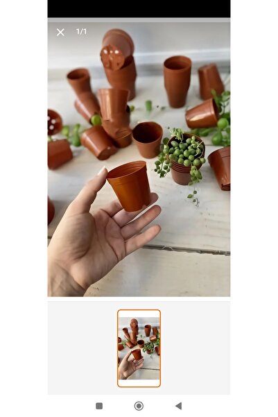 MİN & MİND Bitki Ağaç sevgisi için bir fidan Adet Minik Üretim Saksı 5.5x5 Mi...