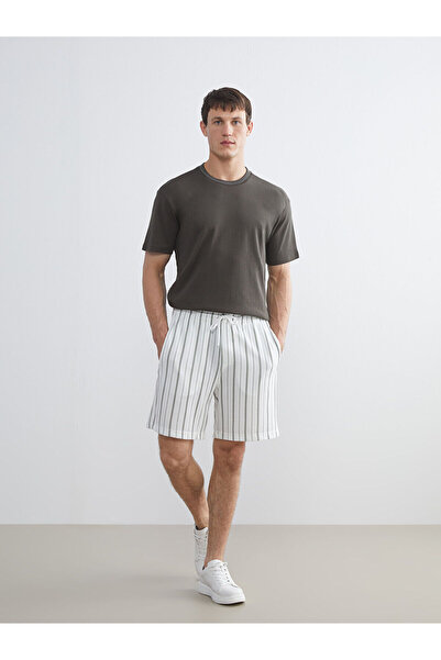 LC Waikiki Nevavm Standard Mold Striped Men's Shorts with a Difference