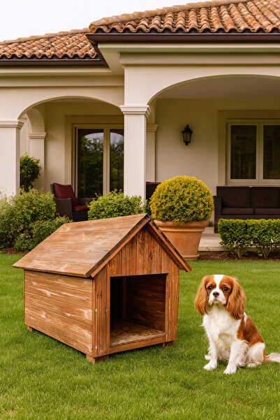 AboutThePerfect Küçük ırk köpekler için doğal ahşap dış mekan kulübe, şık ve dayanıklı tasarım