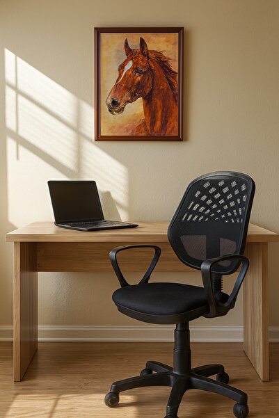 BEYLERBEYİ Ofis Koltuğu, büro Koltuğu, berjer ,çalışma Sandalyesi, oyuncu Kol...
