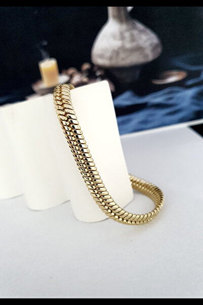 Reyna Steel Altın Çağı Yaşatan Çelik Takılar VIP XUPING Bileklik