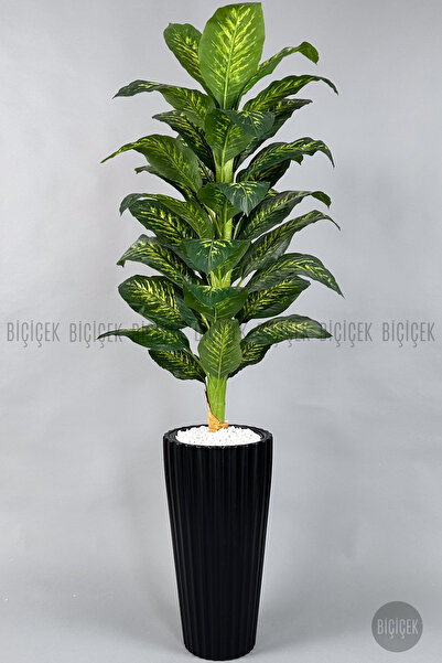 BİÇİÇEK Difenbahya Ağacı 180-220 cm Bambu Gövde