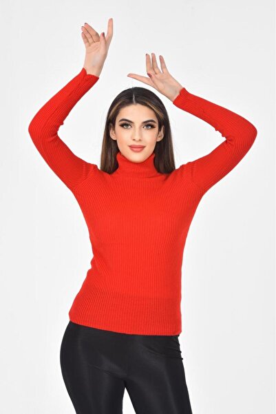 Rublays Unisex Cotton Turtleneck Slimfit Turtleneck Sweater