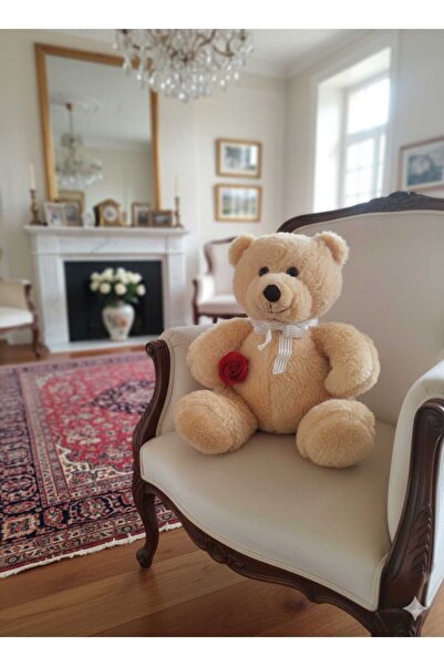 adayus Sevimli Büyük Boy Peluş Ayıcık, Sevgiliye Hediye Edilecek Ayıcık 60X50 CM