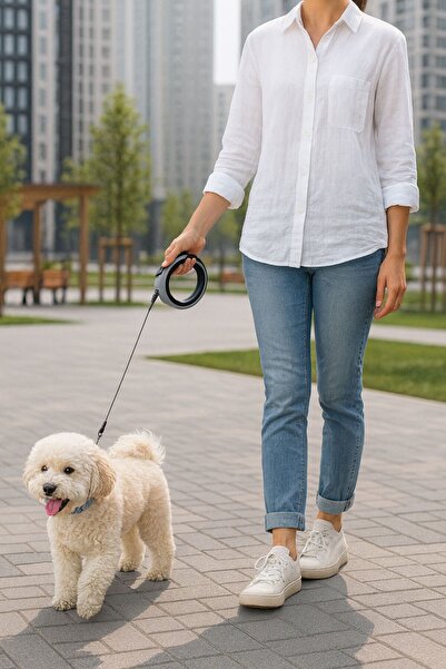 CasaPetra Dog Walking Collar with Automatic Adjustable Structure