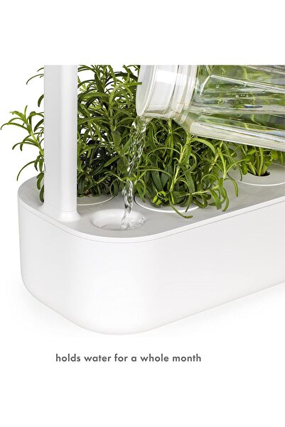 Click and Grow Click & Grow Smart Garden 9 Indoor Home Garden (Includes 3 Mini Tomato, 3 Basil, 3 Chili Pepper Plan