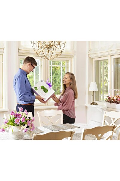 Click and Grow Smart Garden 3 Indoor Gardening Kit (Includes 3 Basil Plant Pods), Grey, 30 X 10 X 28
