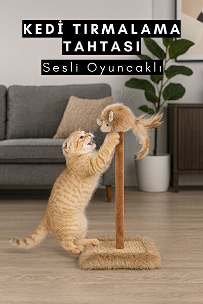 CasaPetra Cat Scratching Board with Sound Toys in the Structure