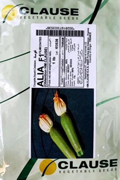 Clause بذور الكوسة الهجينة عالية الجودة F1