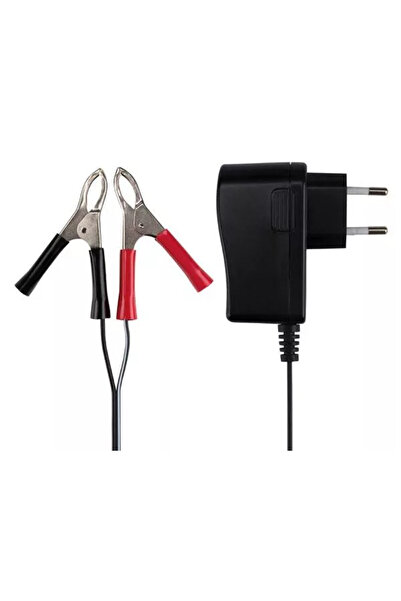 OEM Incarcator pt Acumulatori plumb acid 6V/12V Velleman