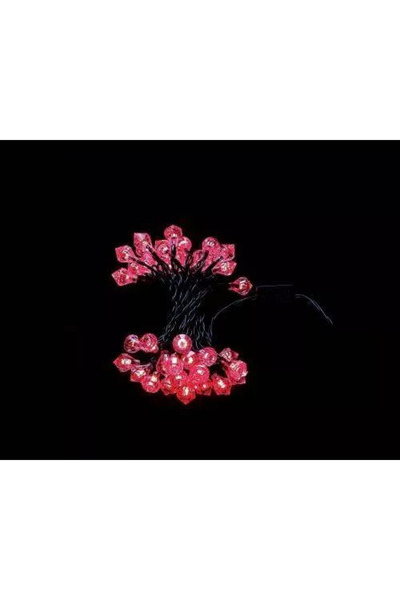 OEM Ghirlanda luminoasa forma diamant 40 LED-uri rosii culoare WELL