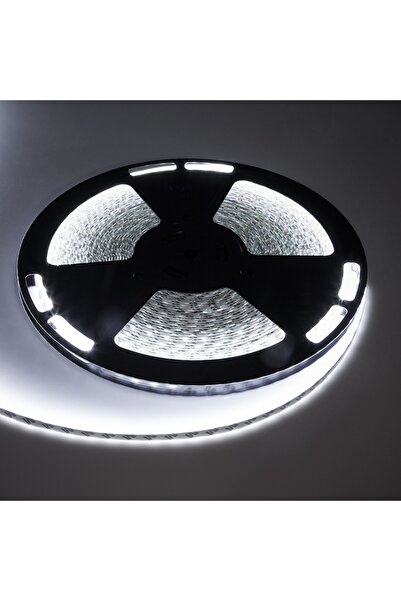 Rebel Banda LED alb rece 6500K 60x5050 SMD/m 12VDC 720lm/m 5.6W/m IP65