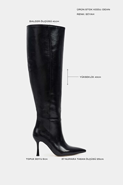 NİŞANTAŞI SHOES Dean Siyah Mat Sivri Burun İnce Topuklu Kadın Uzun Çizme