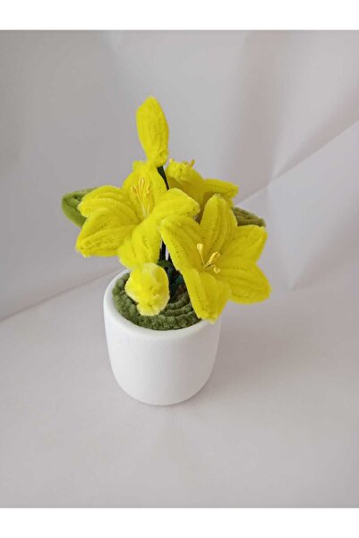 İ&G Çiçek ve Hobi evi زهرة الشنيل الزخرفية في وعاء