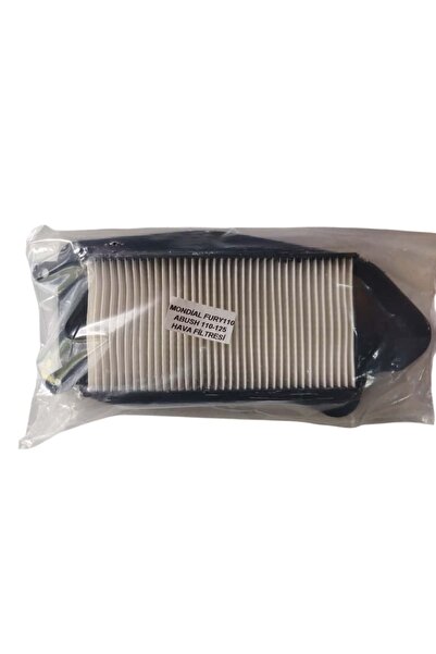 Mondial Furry110-Abush Speedy 110-125 Hava Filtresi Ugr