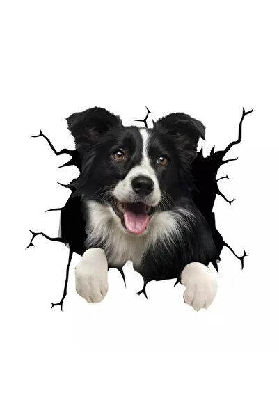 ORIGINAL DEALS Autocolant decorativ cu câine Border Collie pentru casă sau ma...
