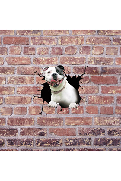 ORIGINAL DEALS Autocolant decorativ Pitbull câine american pentru casă sau ma...