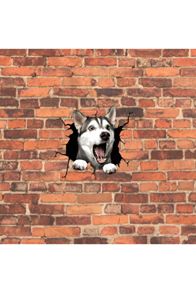 Original Deals RO Autocolant decorativ cu câine husky siberian pentru casă sa...