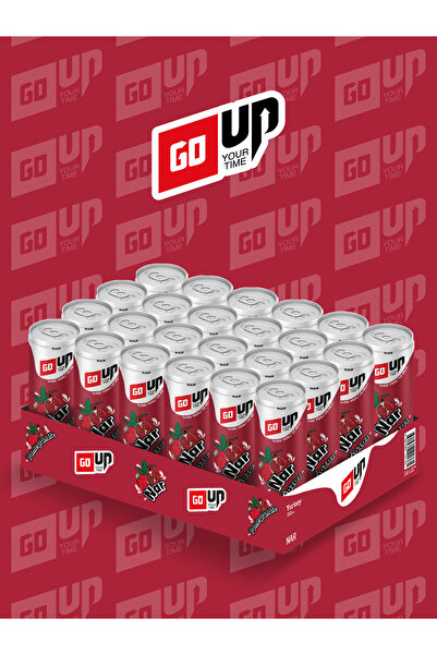 GoUp 24'lü Go Up Nar Aromalı Gazlı İçecek