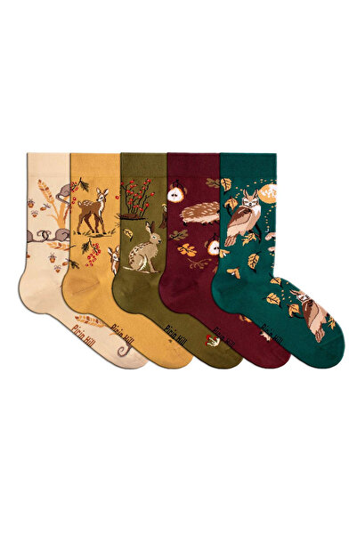 Pirin Hill Cutie de lux cu 5 perechi șosete din bumbac Povești de Toamnă