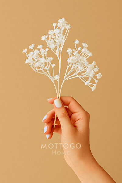 Mottogo أغصان جيبسو الأبيض – زهرة صناعية مزخرفة