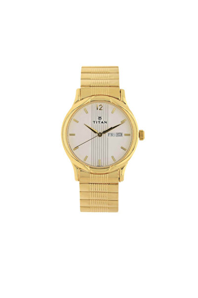 Titan Men's Analog Silver Dial Watch - 1580YM04