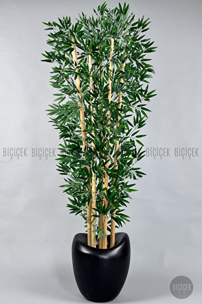 BİÇİÇEK Zen Bambu Ağacı 220-240 CM Fiber Saksıda