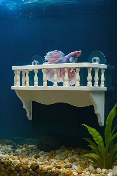 MD×JOA Beta Dinlenme Alanı ⍯ Balık Yuvası Beta Halfmoon Üretim Tüpü ( Karışık...