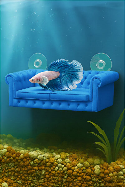 MD×JOA Beta Dinlenme Alanı ⍯ Balık Yuvası Beta Halfmoon Üretim Tüpü ( Karışık...