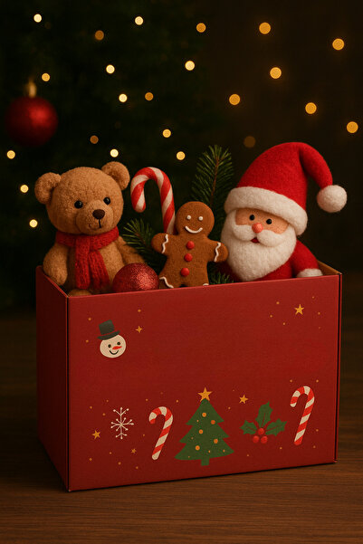 OEM Christmas Edition Mystery Box, 4-6 mixed new and returned products