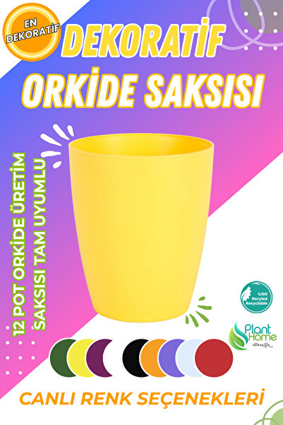 Plant Home Power Mix Dekoratif Orkide Dış Saksısı Sarı – Hava Alan ve Zarif T...