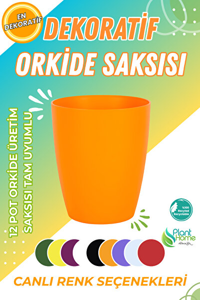 Plant Home Power Mix Dekoratif Orkide Dış Saksısı Turuncu – Hava Alan ve Zari...