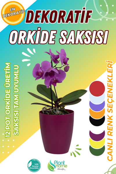 Plant Home Power Mix Dekoratif Orkide Dış Saksısı Vişne – Hava Alan ve Zarif ...
